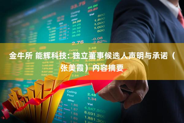 金牛所 能辉科技: 独立董事候选人声明与承诺（张美霞）内容摘要
